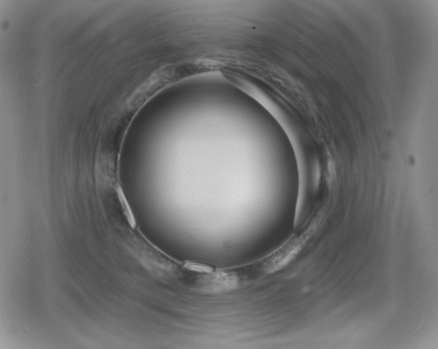 X0000080740421200612151254