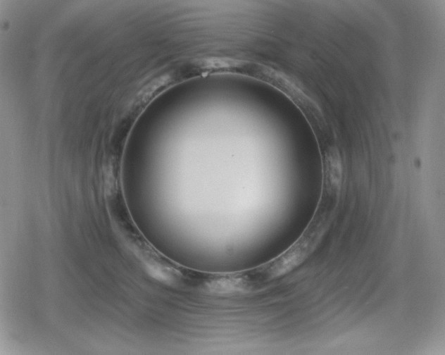 X0000080740422200612151254