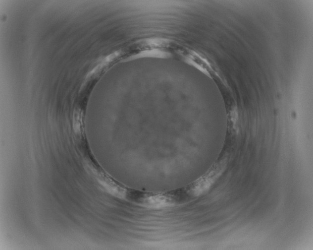 X0000080740423200612151254