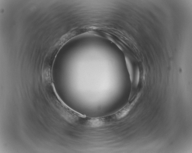 X0000080740425200612151254