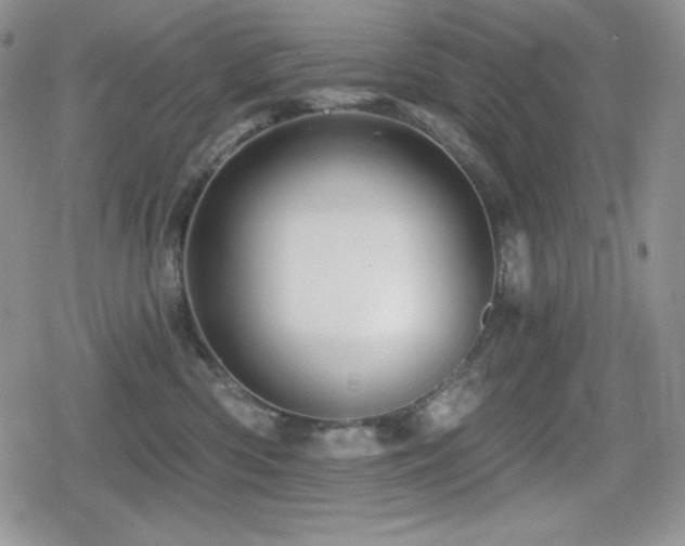 X0000080740426200612151254