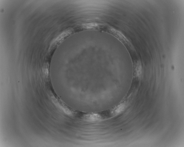 X0000080740427200612151254