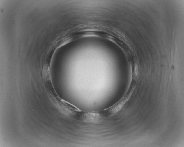X0000080740429200612151254