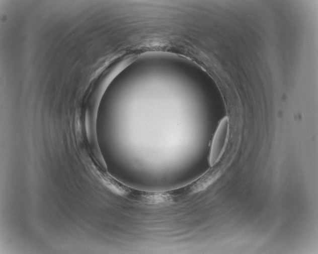 X0000080740432200612151254