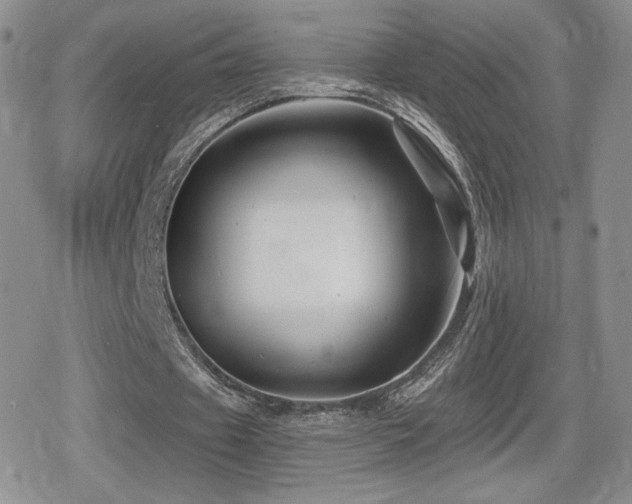 X0000080740433200612151253