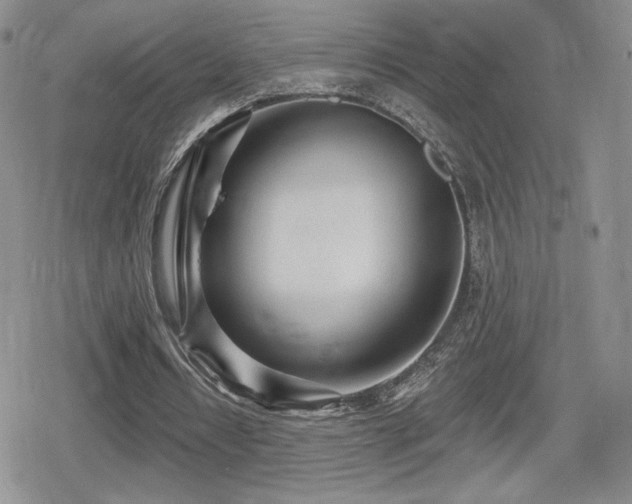 X0000080740434200612151253