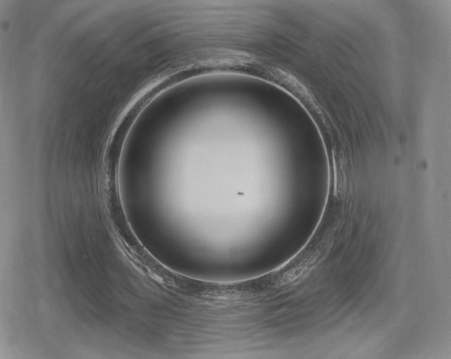 X0000080740435200612151253
