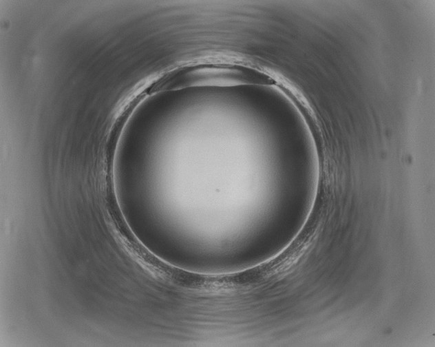 X0000080740437200612151253