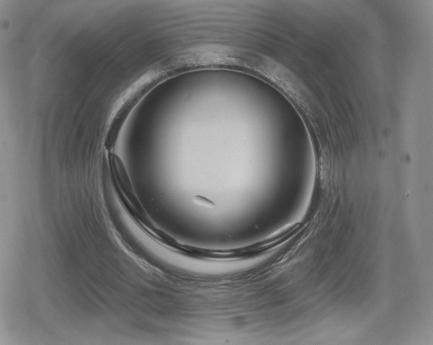 X0000080740438200612151253