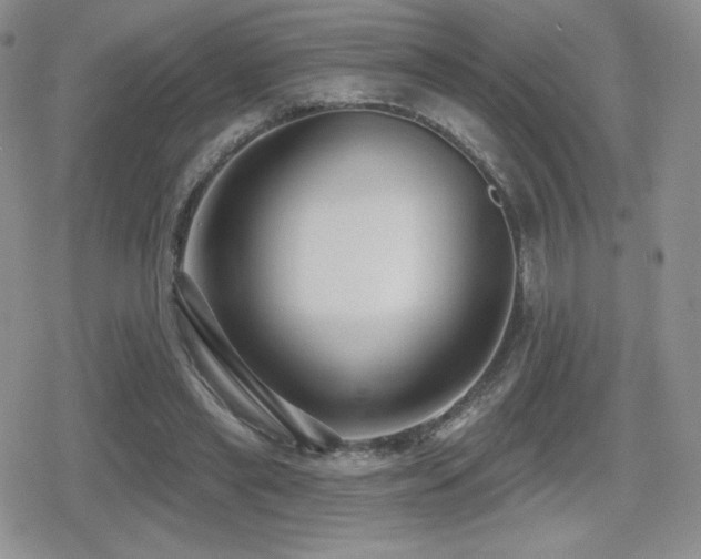 X0000080740445200612151253