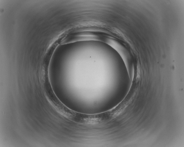 X0000080740448200612151253