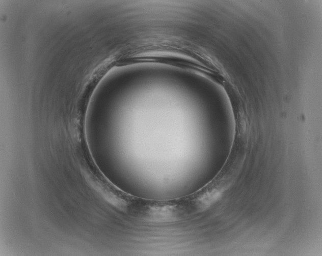 X0000080740450200612151253