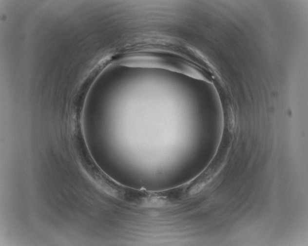 X0000080740451200612151253