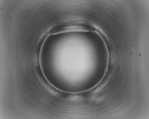 X0000080740453200612151253