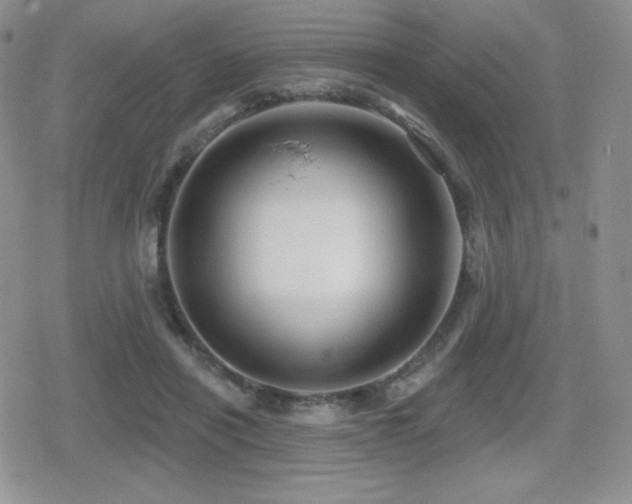 X0000080740454200612151253