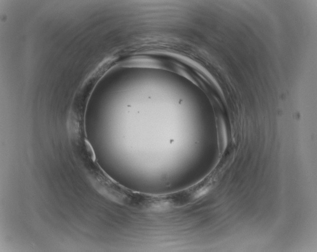 X0000080740456200612151253
