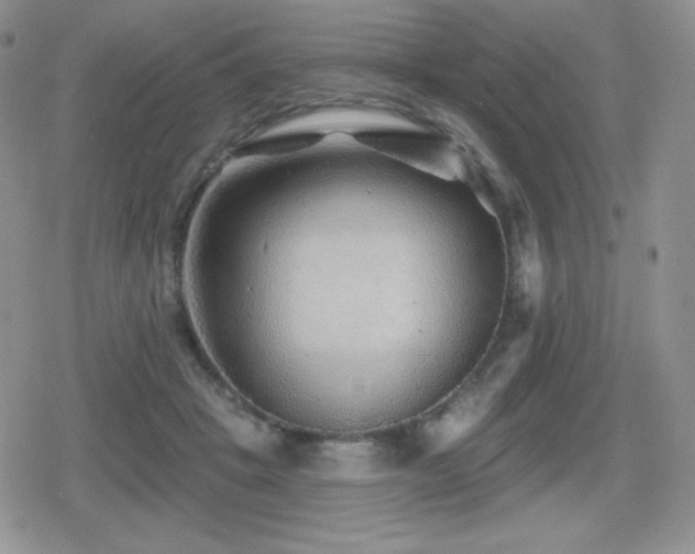 X0000080740457200612151254
