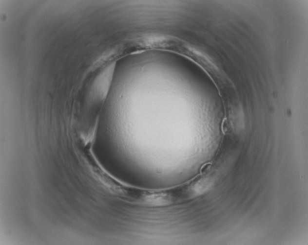 X0000080740461200612151254