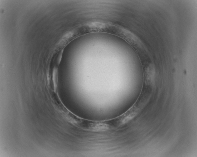 X0000080740463200612151254