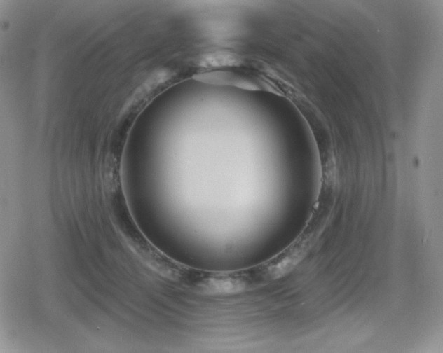 X0000080740464200612151254