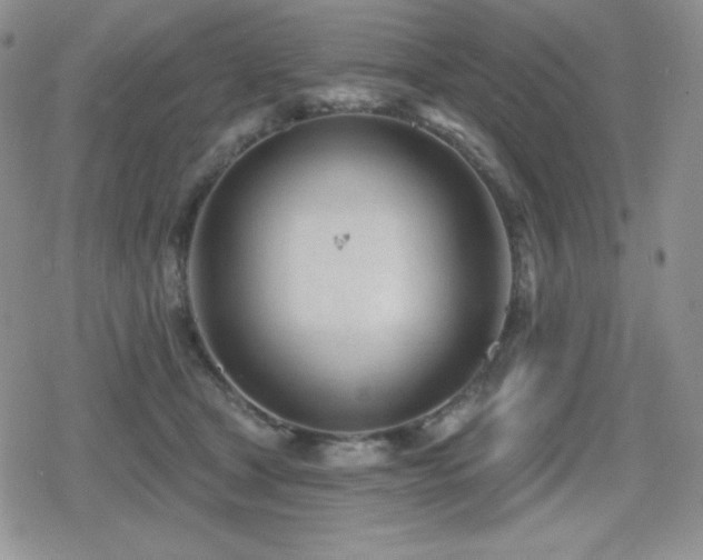 X0000080740465200612151254