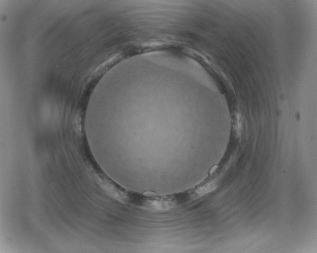 X0000080740466200612151254