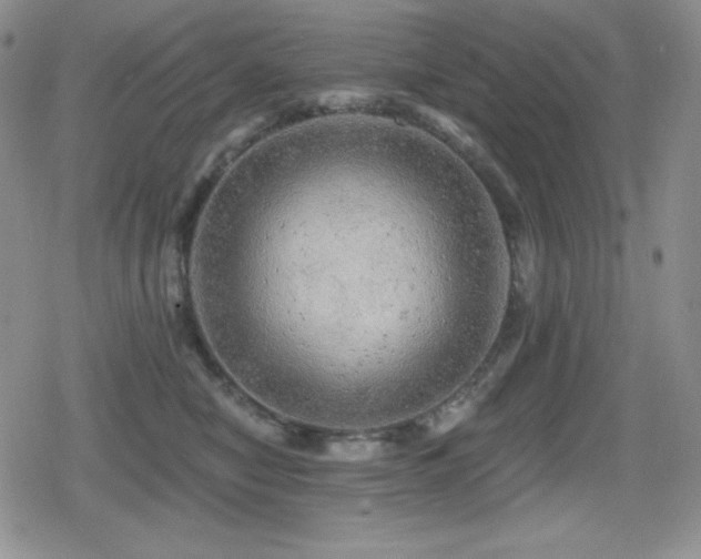 X0000080740470200612151254