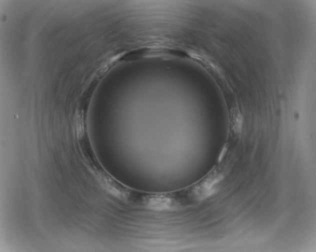 X0000080740471200612151254