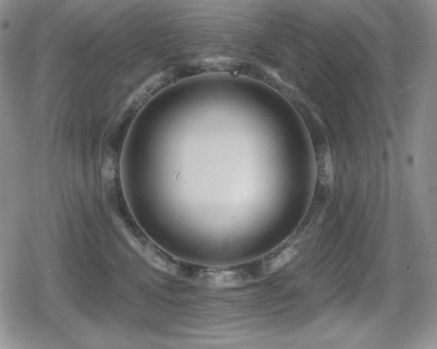 X0000080740472200612151254