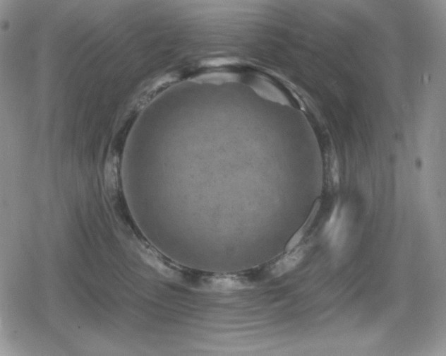 X0000080740475200612151254