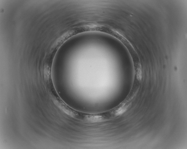 X0000080740476200612151254