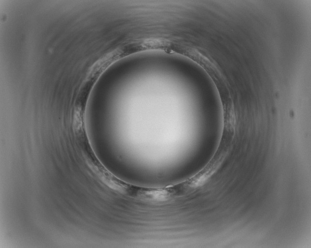 X0000080740478200612151254