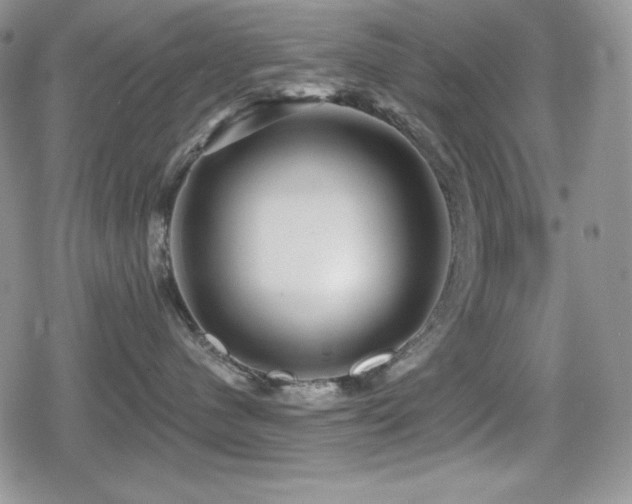 X0000080740480200612151254