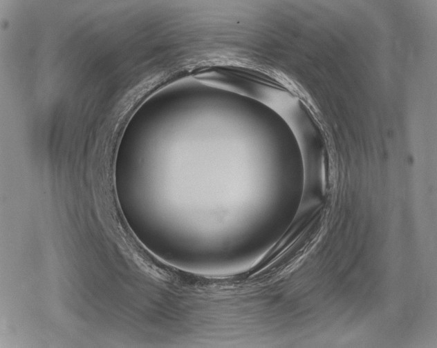 X0000080740481200612151253