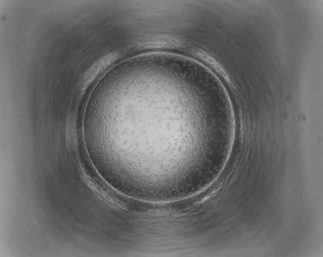 X0000080740482200612151253