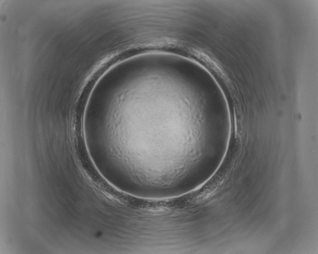 X0000080740483200612151253