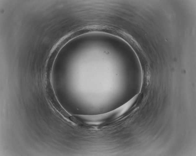 X0000080740484200612151253
