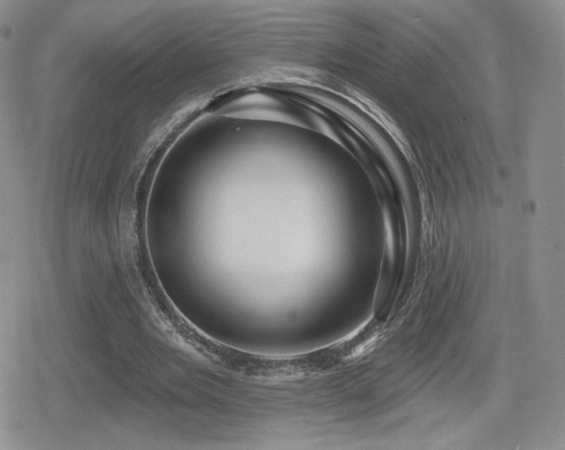 X0000080740485200612151253