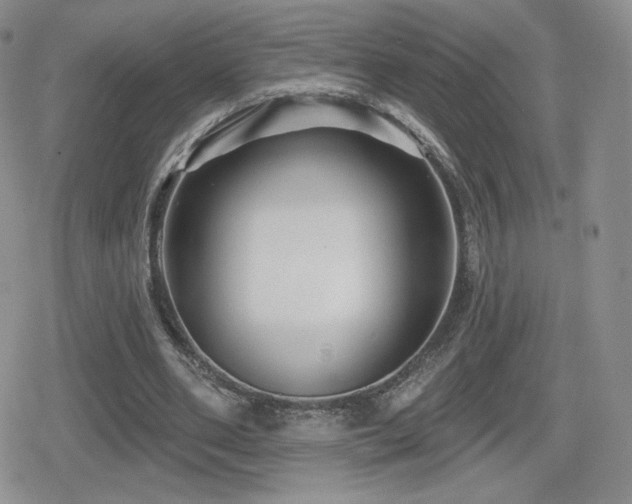 X0000080740486200612151253