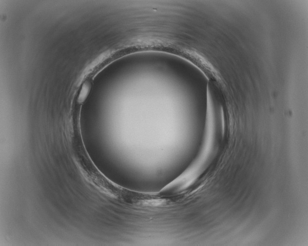 X0000080740488200612151253