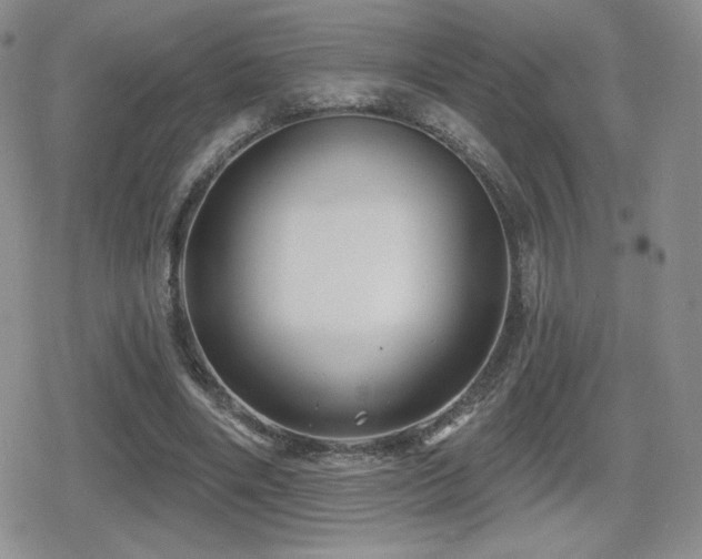 X0000080740490200612151253