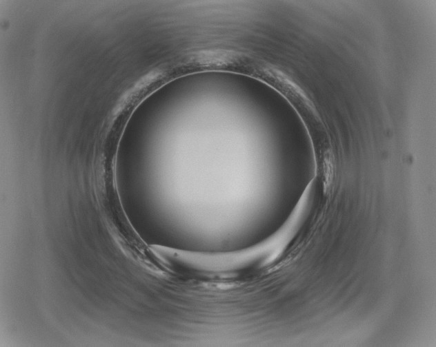 X0000080740492200612151253