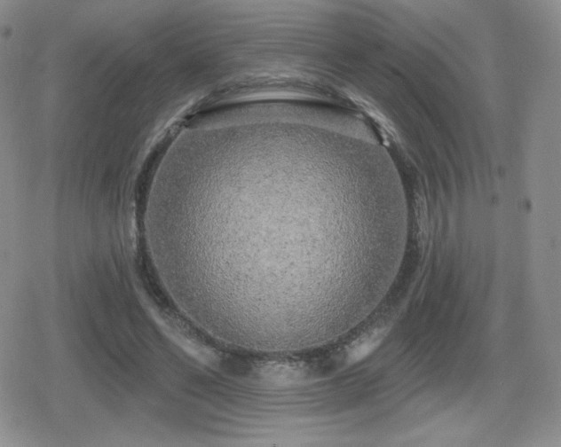 X0000080740494200612151253