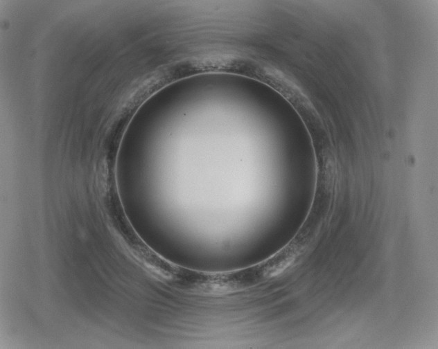 X0000080740498200612151253