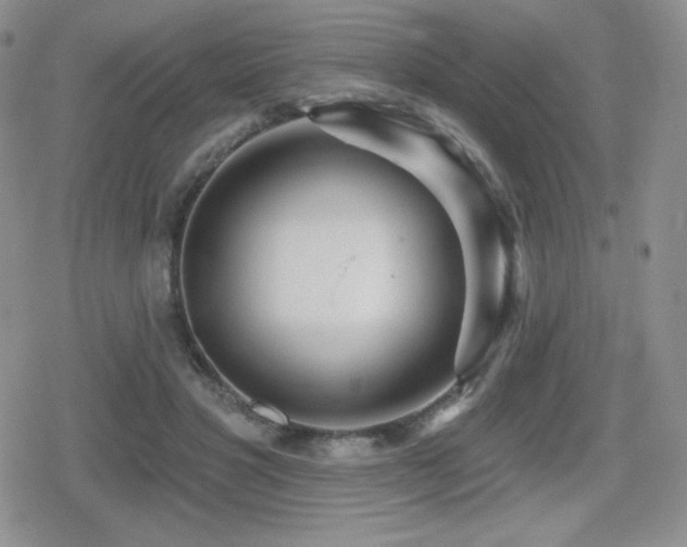 X0000080740501200612151253