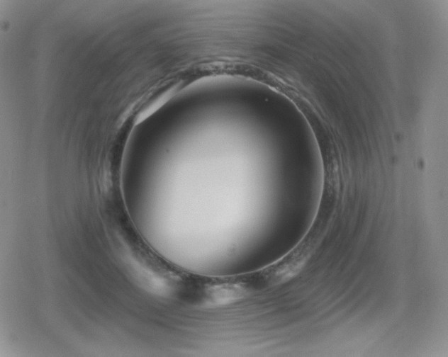 X0000080740508200612151253