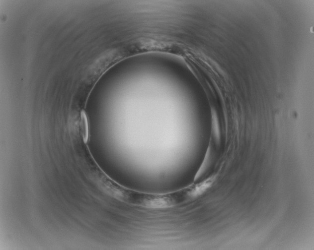 X0000080740513200612151253