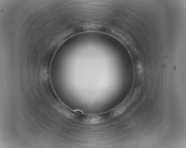 X0000080740514200612151253