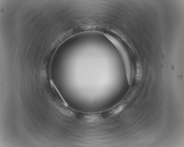 X0000080740516200612151253