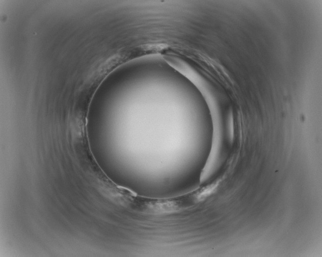 X0000080740517200612151253